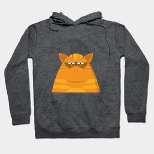 Cat Sleepless Hoodie